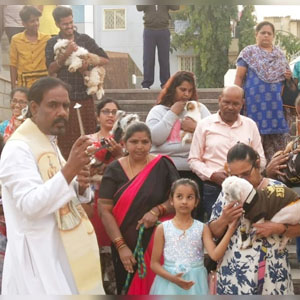 Blessings of Pets 2022